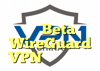 دسترسی به اینترنت خصوصی Beta از WireGuard VPN را اعلام کرد