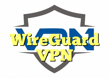 همه چیز درباره پروتکل WireGuard VPN