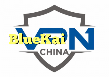 میلیارد ها سوابق فعالیت اینترنتی که توسط BlueKai از اوراکل ردیابی می شود ، به صورت آنلاین فاش شدند