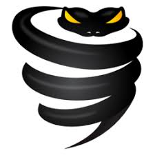  VYPRVPN 
